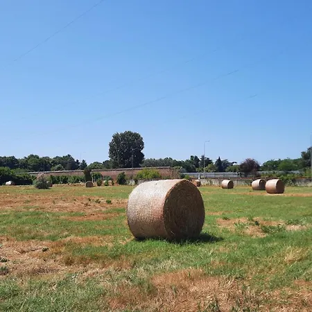 Aparthotel Agri Hotel Cascina Certosa *